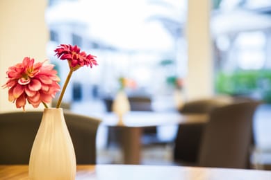 Mavridis Hotel Chalkidiki - Image 5