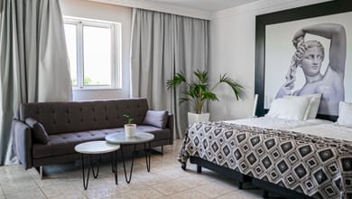 Premium Suite