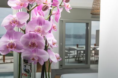 Luxury Maisonette