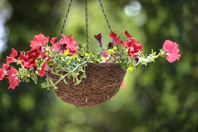 Molfetta Beach Hotel - Image 3