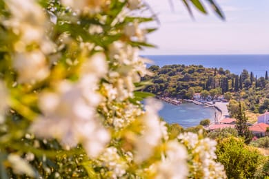 Mouzakis Villas Samos - Image 4