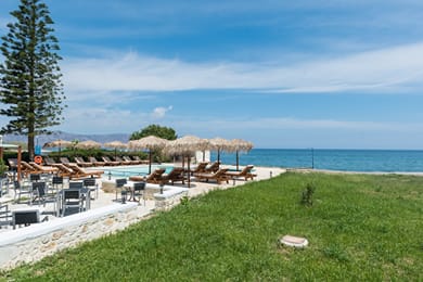 Musela Studios - Image 6