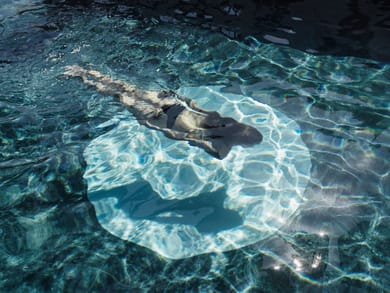 Myconian O Hotel - Adults Only - Image 7