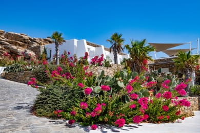 1 Bedroom Deluxe Suite with shared pool | Ruby | Tourlos