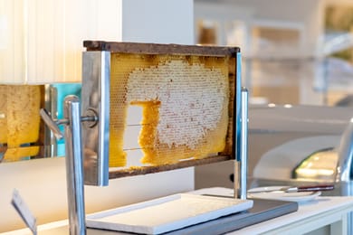 Secret Paradise Hotel & Spa Chalkidiki - Image 7