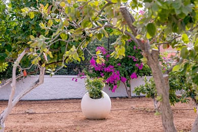 Almyros House I-N by the Sea | Almyros Beach Agios Nikolaos Crete