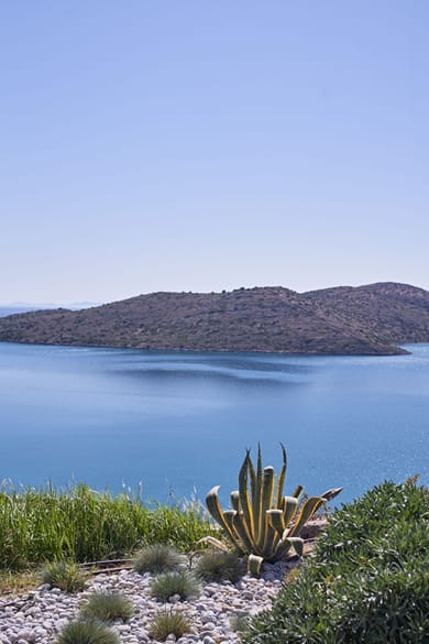 Elounda Olivia Luxury Villa | Elounda Crete