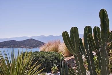 Elounda Olivia Luxury Villa | Elounda Crete