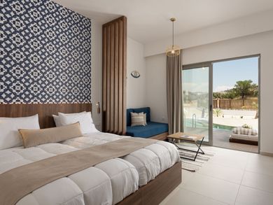 Swim Up Suite - Disability Access