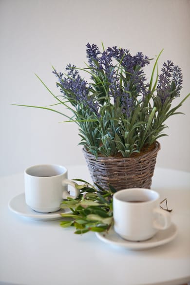 Nammos Sunset - Image 4