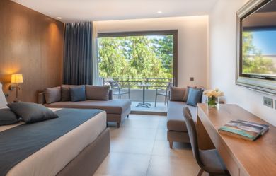 Luxury family room open plan Garden view