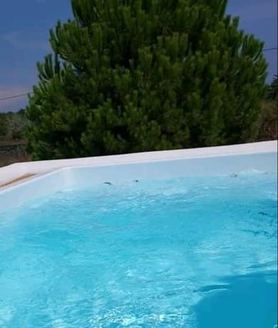 Elite Suite Outdoor Jacuzzi Pool & Private Garden