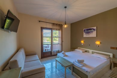 Standard Double / Triple Room