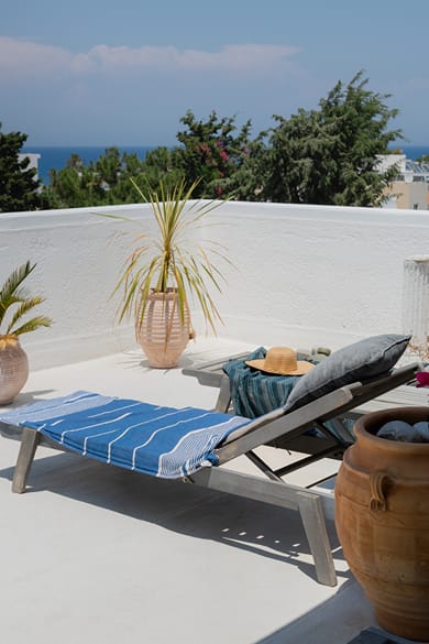 Superior Rooftop Suite