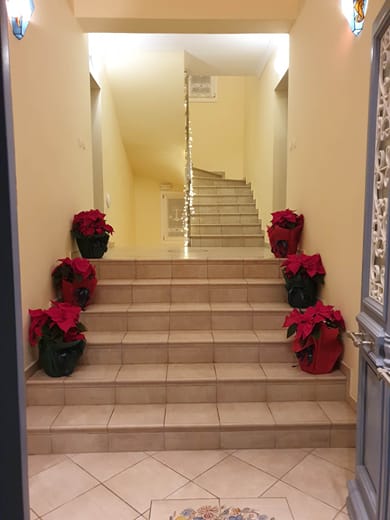 Nautilus Luxury Suites Galaxidi - Image 4