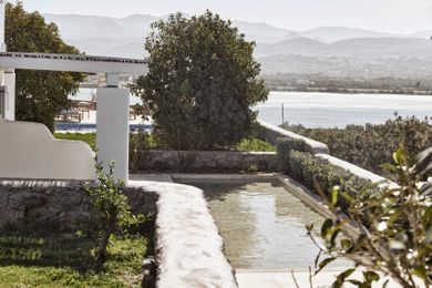 The Naxian Collection - Image 5