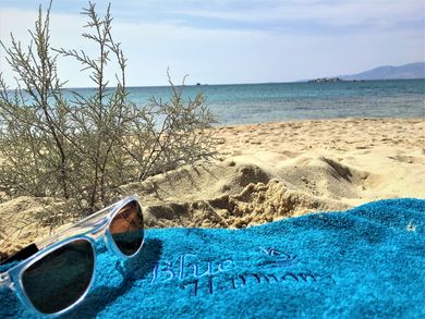 Blue Harmony Apartments Naxos - Image 4