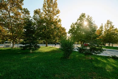 Nefeli Hotel Alexandroupolis - Image 3