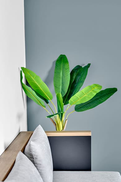 Nerium Luxury Suites - Image 5