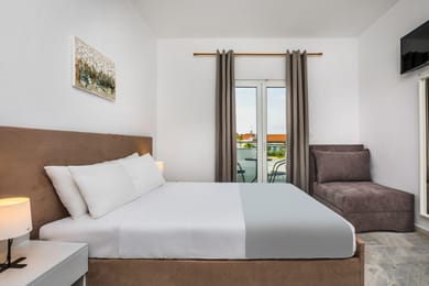 Premium Double/Twin Room