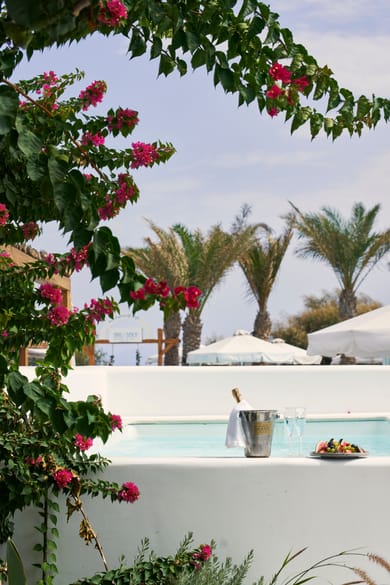 Luxury suite with private pool