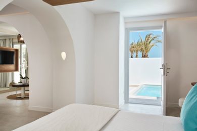 Ultra suite with private pool and patio