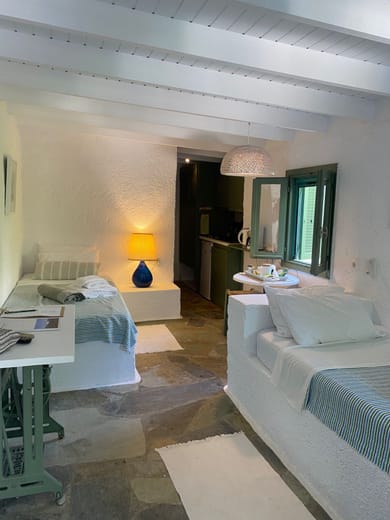 Economy Twin Studio with Partial Sea View