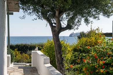 Niriides Villas - Image 2