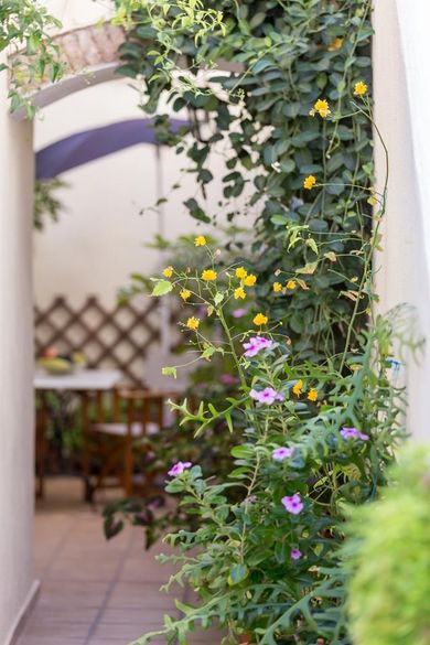 Niriides Hotel Spetses - Image 6