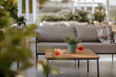 Nissi Beach Resort - Image 3