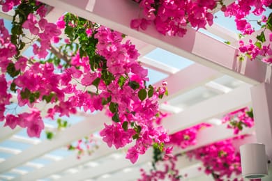 Nissi Park Hotel - Image 3