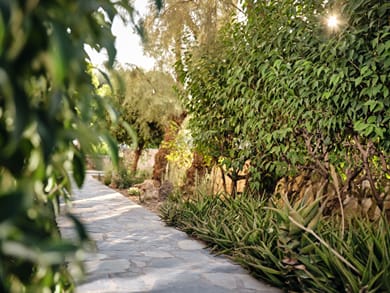 Nomas Living - Image 7