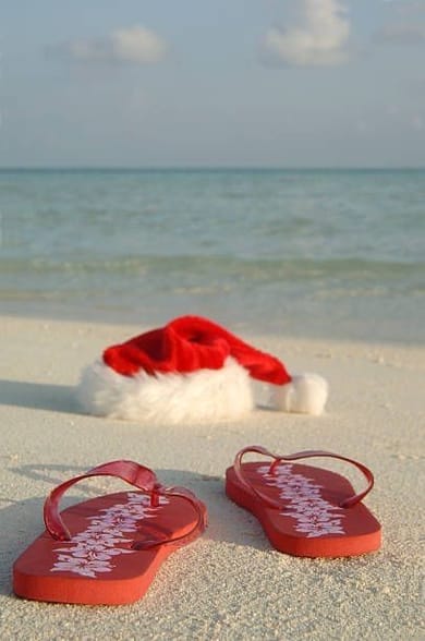 SEA..CRET SANTA 🎅