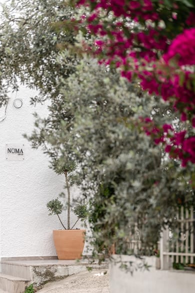 Noma Suites Tolo - Image 4