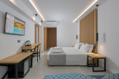 Triple Superior Garden View