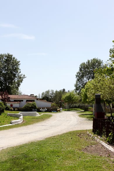 Camping Odysseia & Bungalows - Image 6