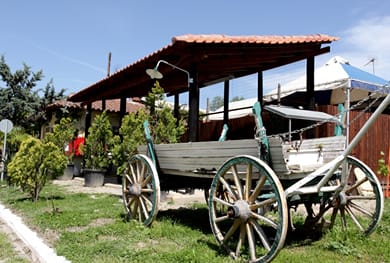 Camping Odysseia & Bungalows - Image 7