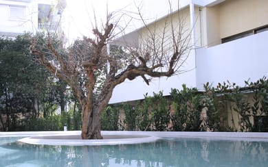 Ogarden Athens - Image 2
