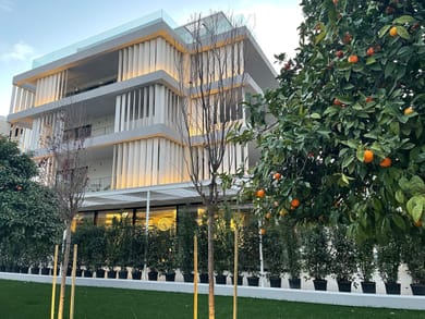 Ogarden Athens - Image 5