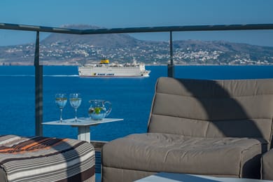 Olea Prime - Image 5