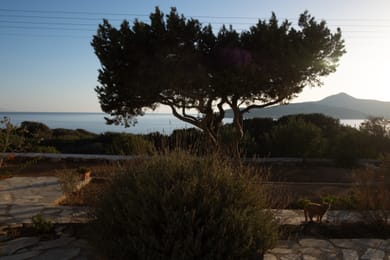 Oliaros Seaside Lodge - Image 4