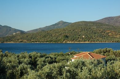 Gera's Olive Grove (Elaionas Tis Geras) - Image 2
