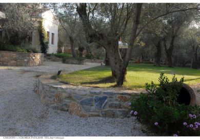 Gera's Olive Grove (Elaionas Tis Geras) - Image 3