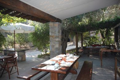 Gera's Olive Grove (Elaionas Tis Geras) - Image 4