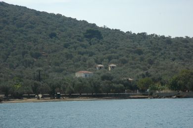 Gera's Olive Grove (Elaionas Tis Geras) - Image 5