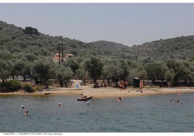 Gera's Olive Grove (Elaionas Tis Geras) - Image 6