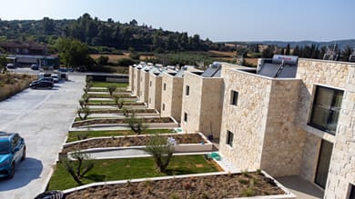 The Olive Path - Image 2