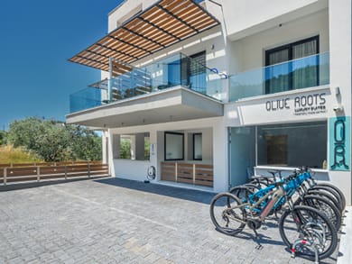 Olive Roots Thassos - Image 2