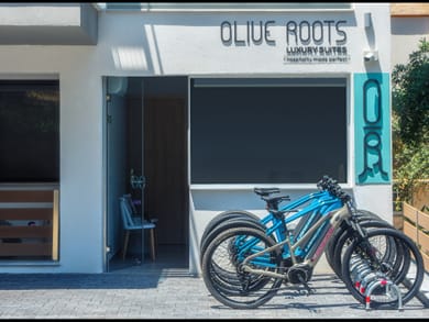 Olive Roots Thassos - Image 3