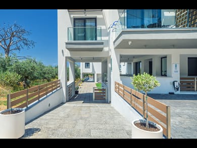 Olive Roots Thassos - Image 6